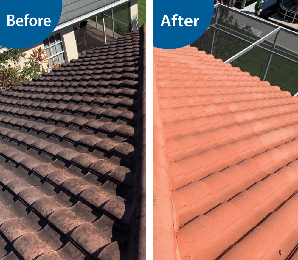 Professional Roof Cleaning Service