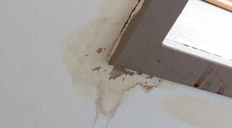 Roof Leak Repairs