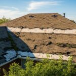 Is Your Roof Showing Signs of Damage? Arlington Repair Tips