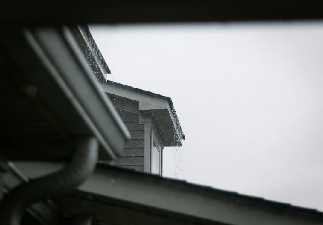 White residential gutter and downspout clearly visible along the roof edge